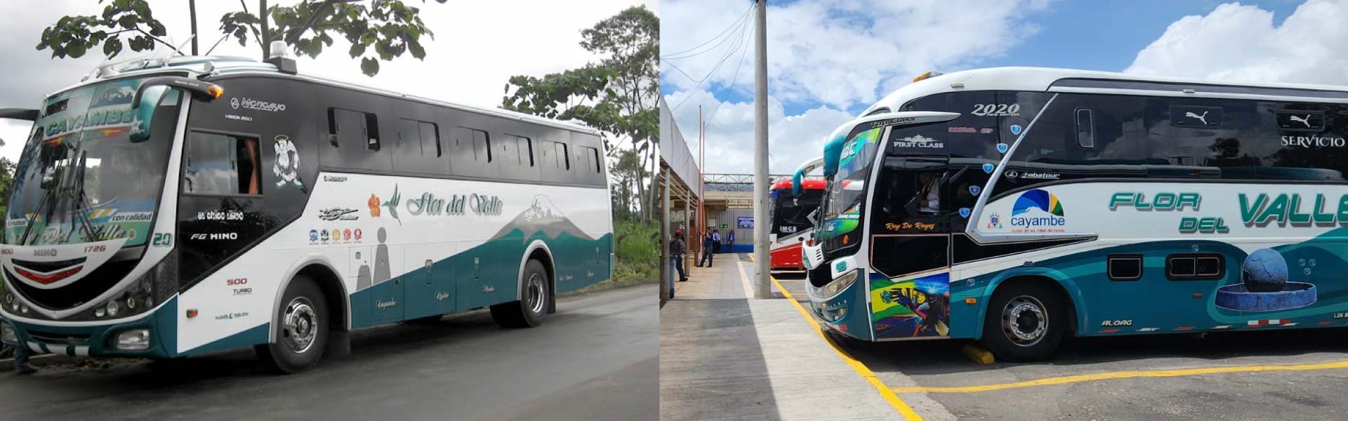 Cooperativa Flor del Valle